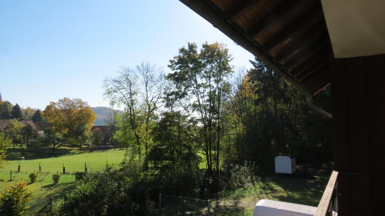 Fewo Mit Balkon Direkt Am Wald Und Wanderweg Ruhe Pur 2 Og バート・ザクサ エクステリア 写真